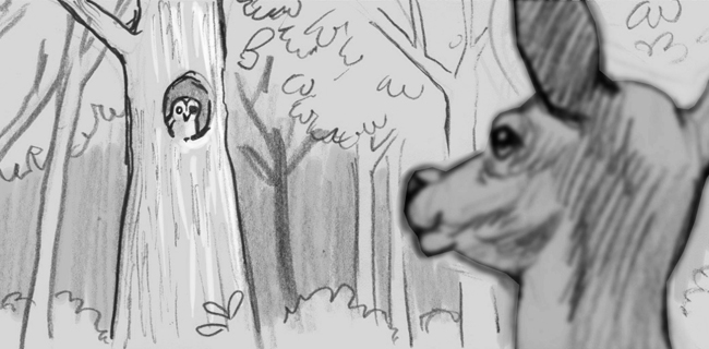 GALLERIE-STORYBOARD-Bambi2